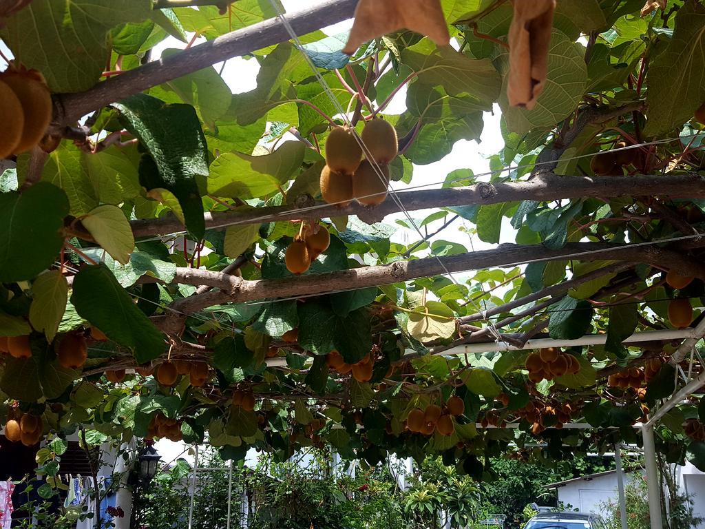 Apartmani Bonik Budva Luaran gambar